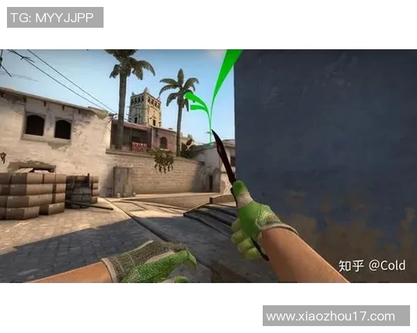 深入分析JDG在CSGO比赛中的防反策略得失与战术调整